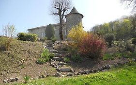 Chateau De La Moissetie