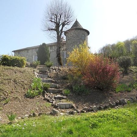 Chateau De La Moissetie Aurillac Exterior foto