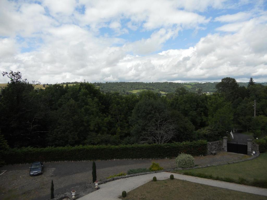 Chateau De La Moissetie Aurillac Habitación foto